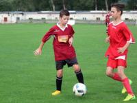 FB体育APP-瑞典乒乓球队强势压制英国乒乓球队，张继科统治全场