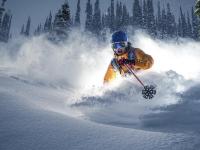 FB体育在线-绝杀！国王压哨击溃黄蜂，德罗赞狂轰全能数据引爆全场