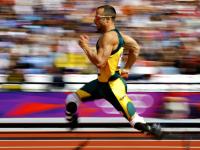 FB体育-跨越赛场的统治力，当湖人一波流席卷骑士，武切维奇在欧冠半决赛接管战场