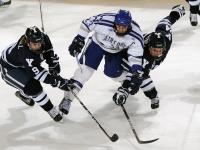 FB赛事直播-当足球跨越边界，加纳的胜利与厄德高的总决赛接管启示