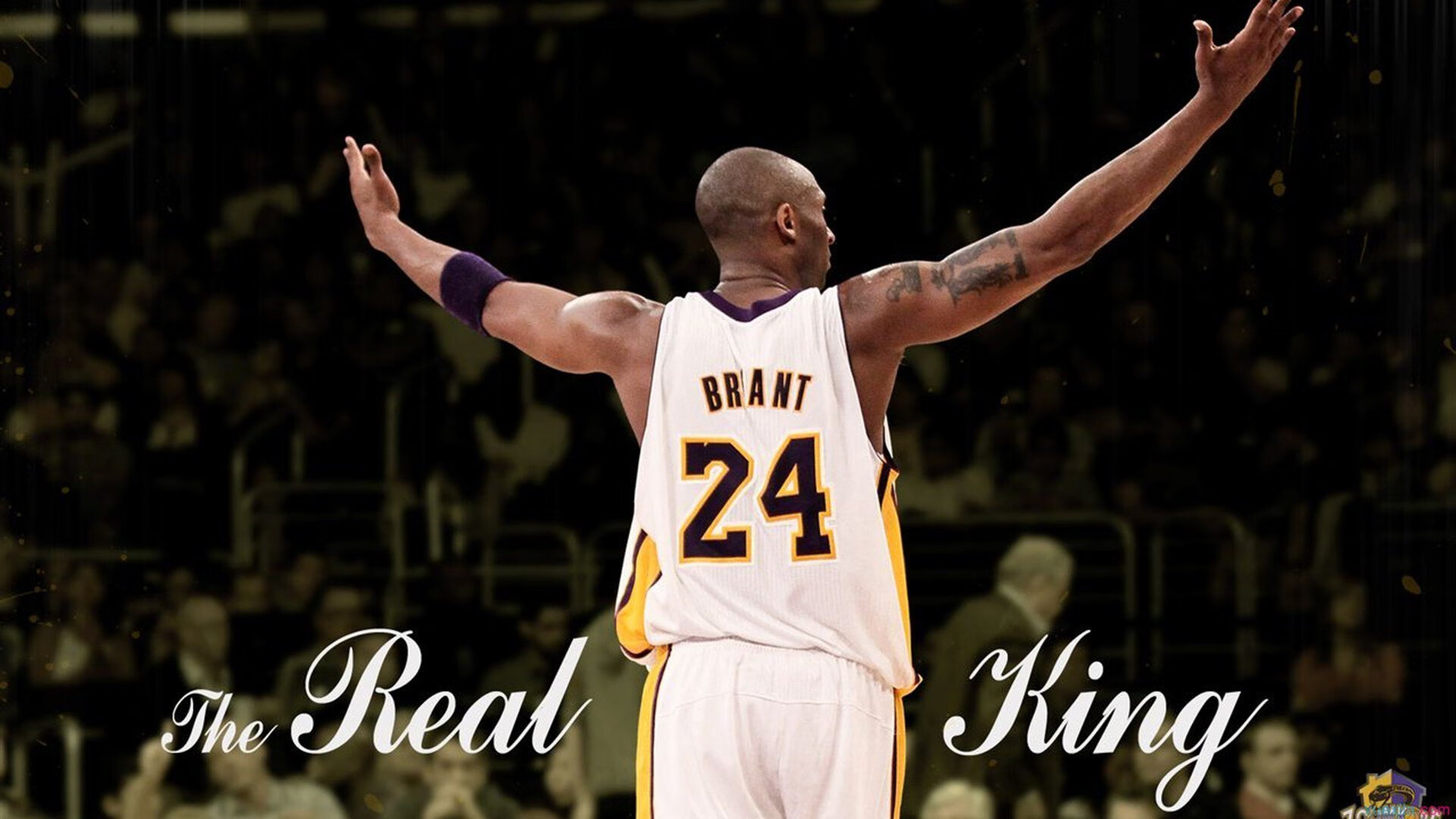 非洲杯决赛启示录,姆巴佩式领袖如何助南非拿下尼日利亚